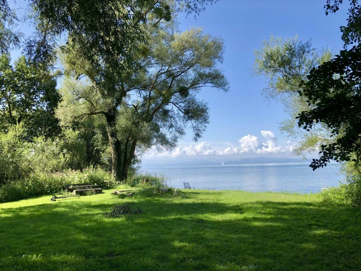 Wohlfuehl-Apartment Auenwald Im Naturschutzgebiet Mit Privatstrand FDH Esterno foto